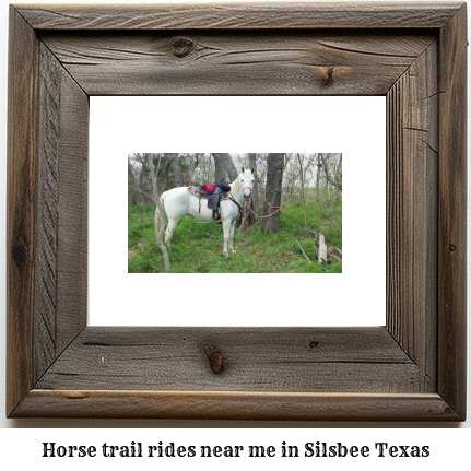 horse trail rides near me in Silsbee, Texas